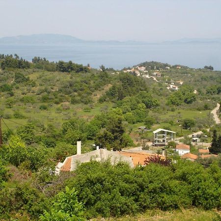Ilias Appartements Tsaprounis Ellinika  Εξωτερικό φωτογραφία