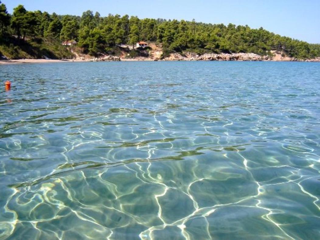 Ilias Appartements Tsaprounis Ellinika  Εξωτερικό φωτογραφία